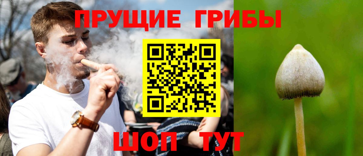 Дивногорск  Псилоцибиновые грибы Cubensis  Галлюциногенные грибы мицелий  Вход с VPN 
